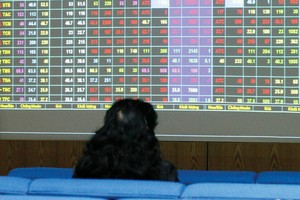 Tài khoản chứng khoán bốc hơi 90% sau chuyến du lịch